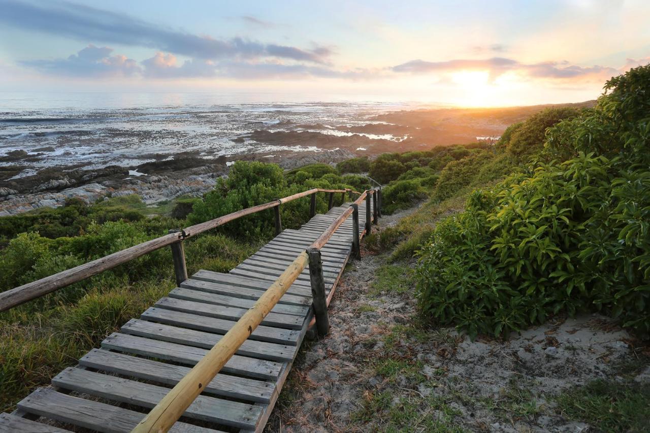 Walker Bay Manor Mansion Pty Hotel Hermanus Ngoại thất bức ảnh